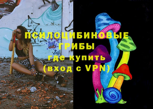 твердый Алексеевка