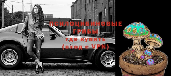 прущий лед Алексин