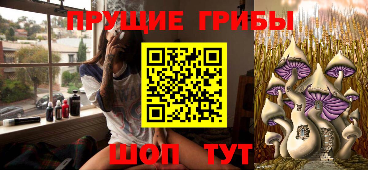 Псилоцибиновые грибы прущие грибы  где продают   Арсеньев  Вход с VPN 