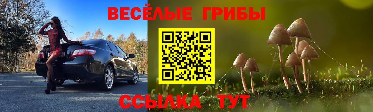 Псилоцибиновые грибы MAGIC MUSHROOMS Арсеньев